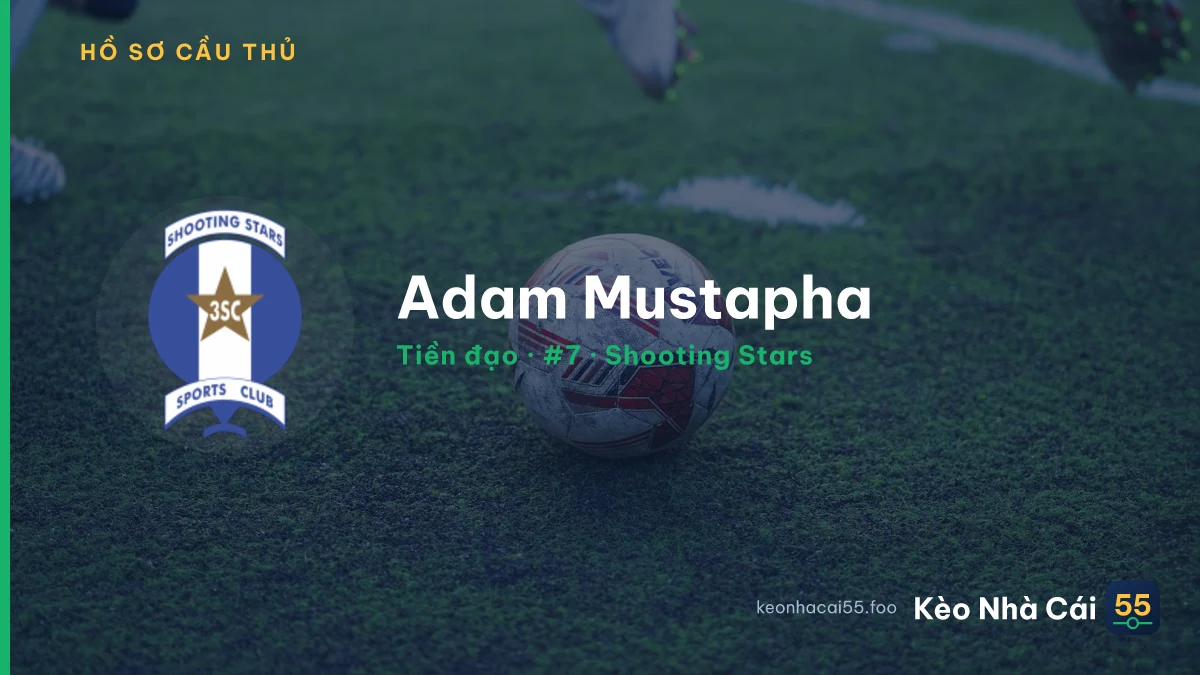 Adam Mustapha — Shooting Stars