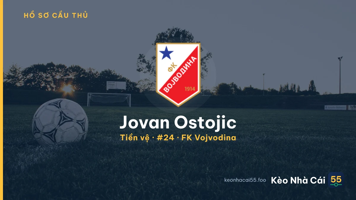 Jovan Ostojic — FK Vojvodina