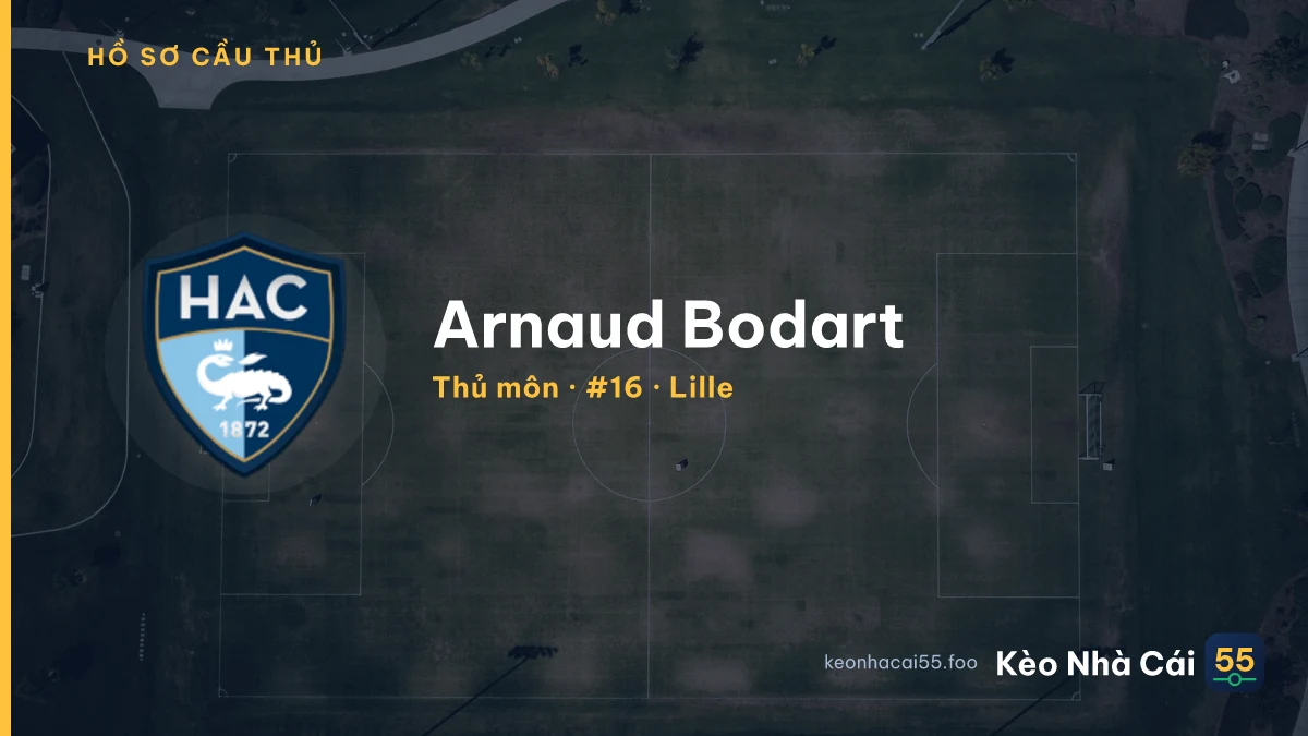 Arnaud Bodart — Lille