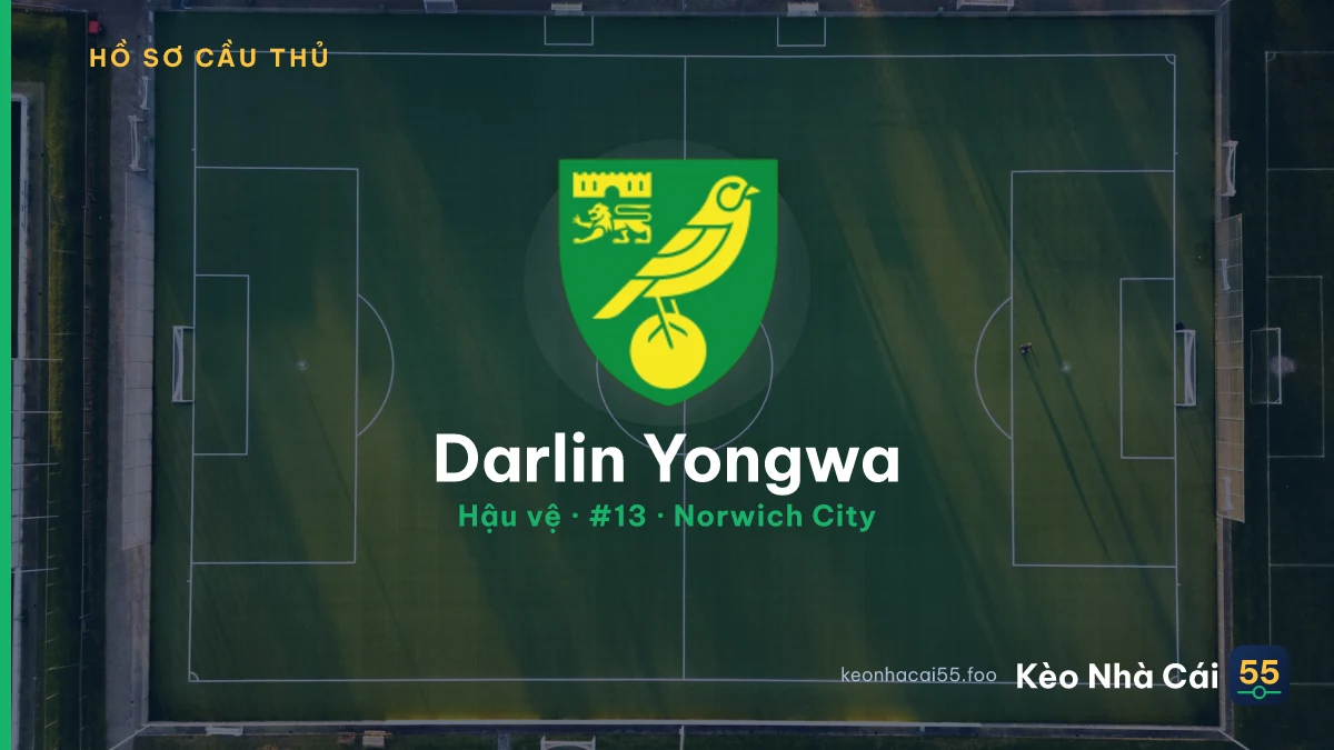 Darlin Yongwa — Norwich City