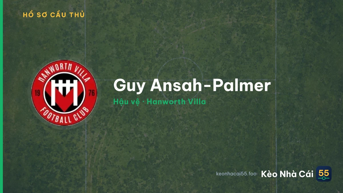 Guy Ansah-Palmer — Hanworth Villa