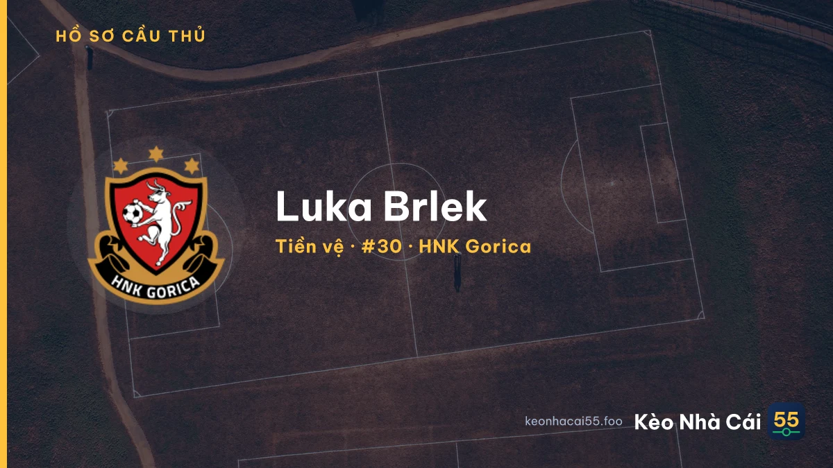 Luka Brlek — HNK Gorica