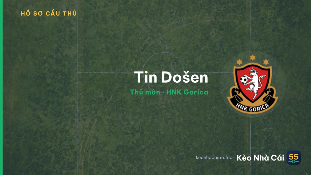 Tin Došen — HNK Gorica