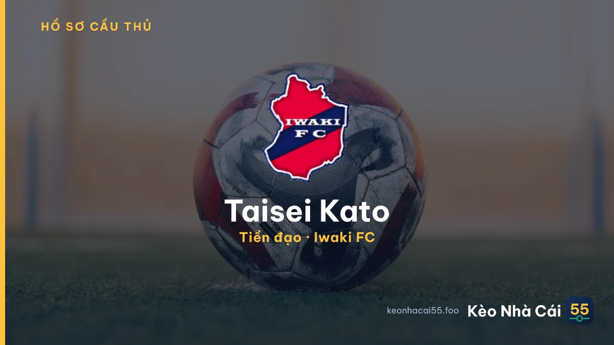Taisei Kato — Iwaki FC
