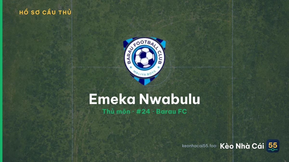 Emeka Nwabulu — Barau FC