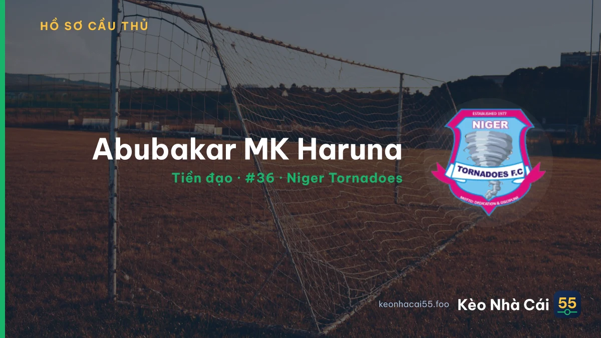 Abubakar MK Haruna — Niger Tornadoes