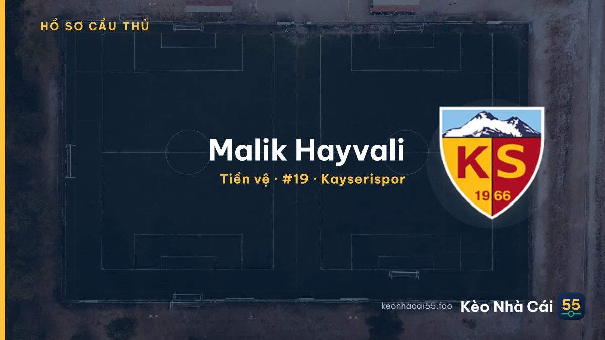 Malik Hayvali — Kayserispor