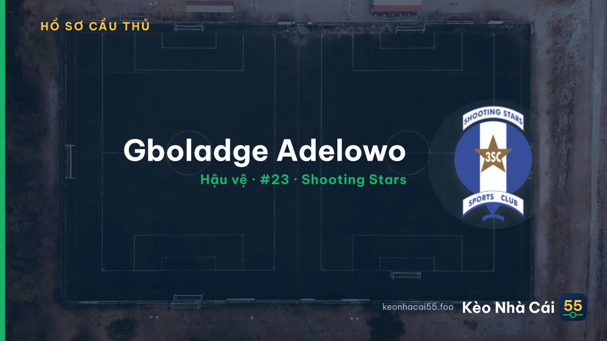 Gboladge Adelowo — Shooting Stars