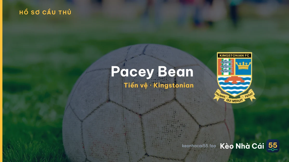 Pacey Bean — Kingstonian