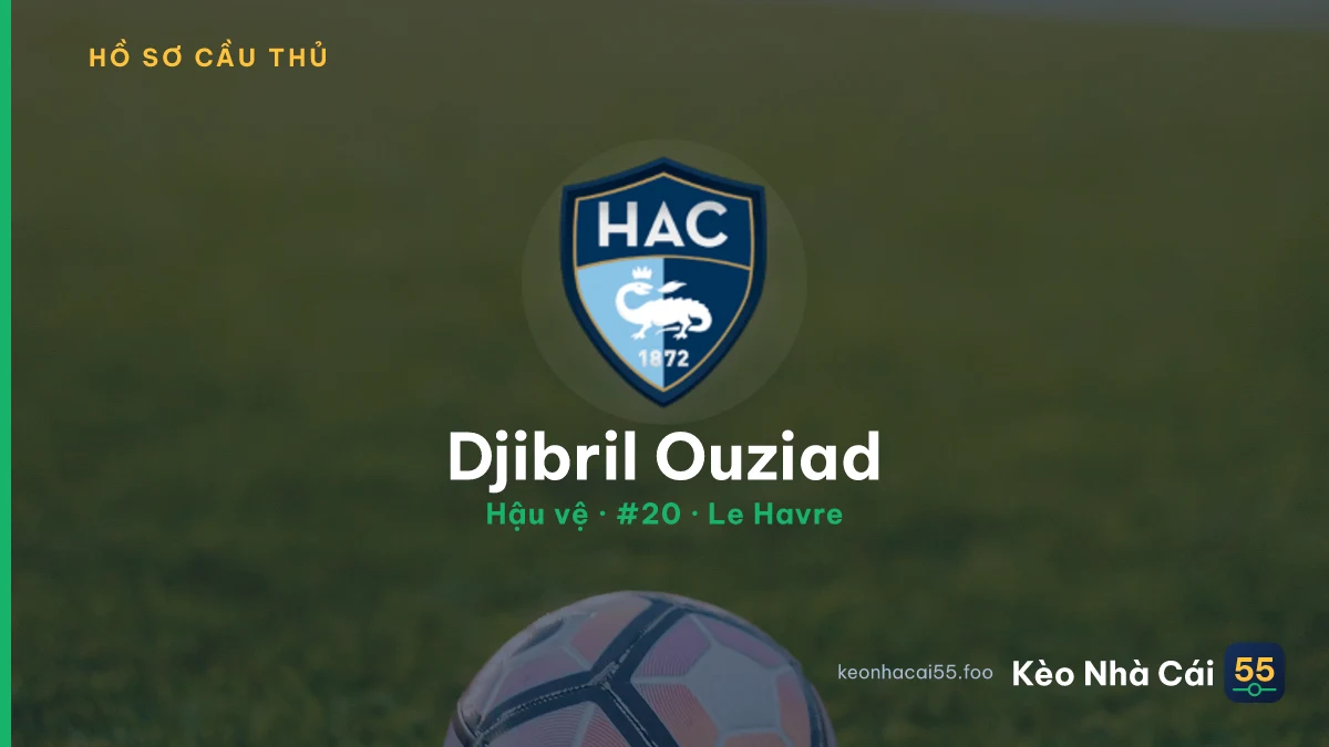 Djibril Ouziad — Le Havre