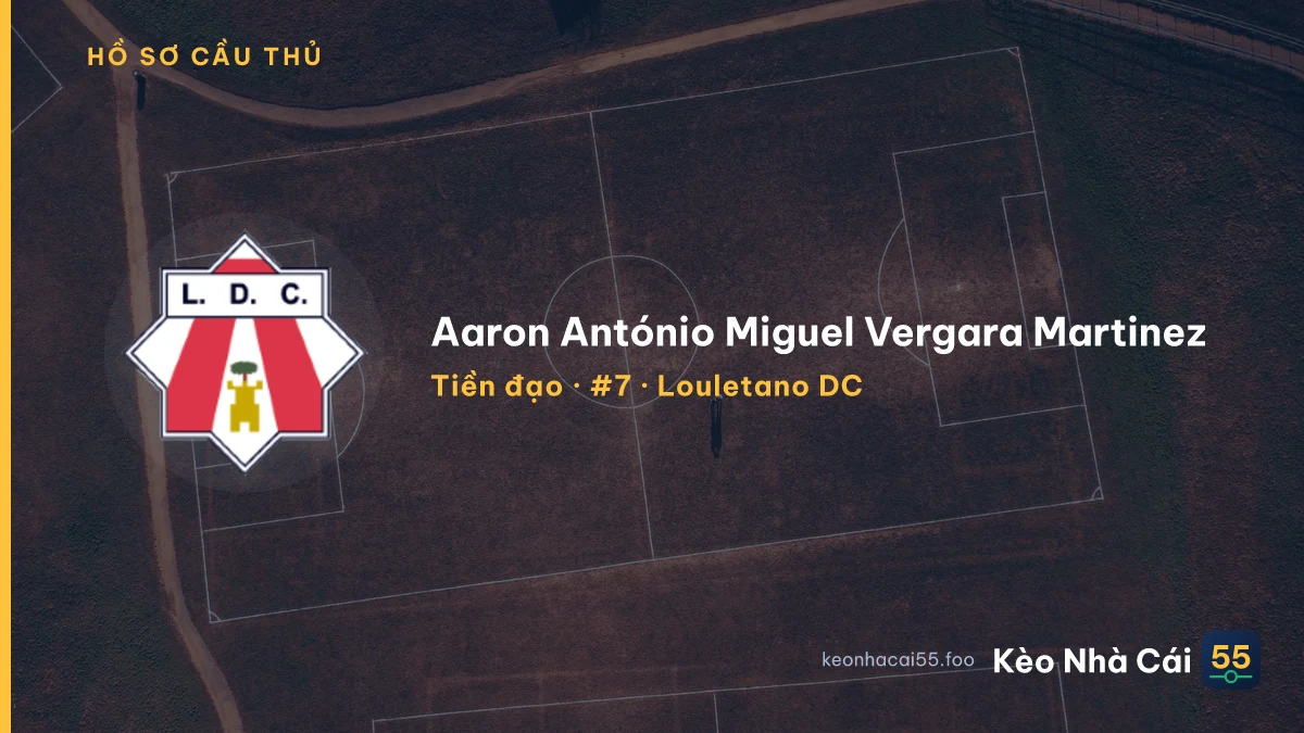 Aaron António Miguel Vergara Martinez — Louletano DC