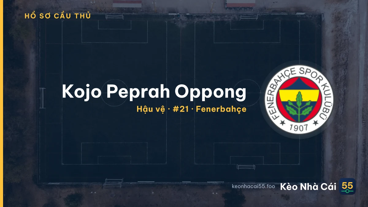 Kojo Peprah Oppong — Fenerbahçe