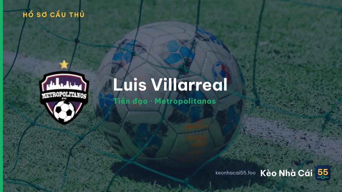 Luis Villarreal — Metropolitanos