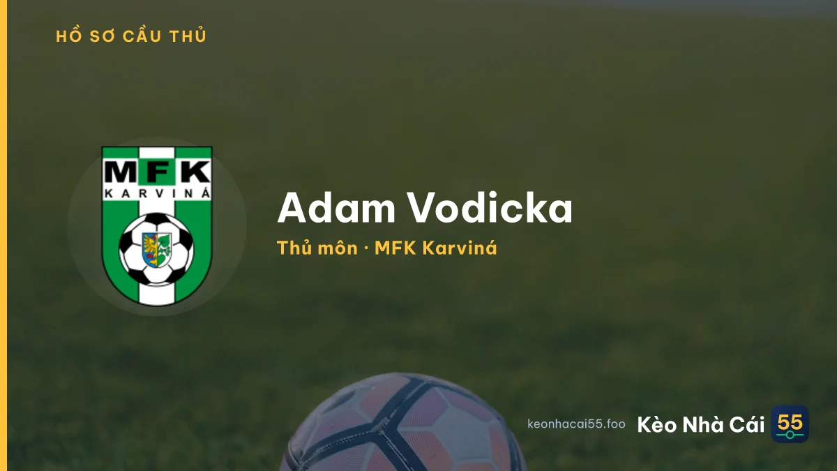 Adam Vodicka — MFK Karviná