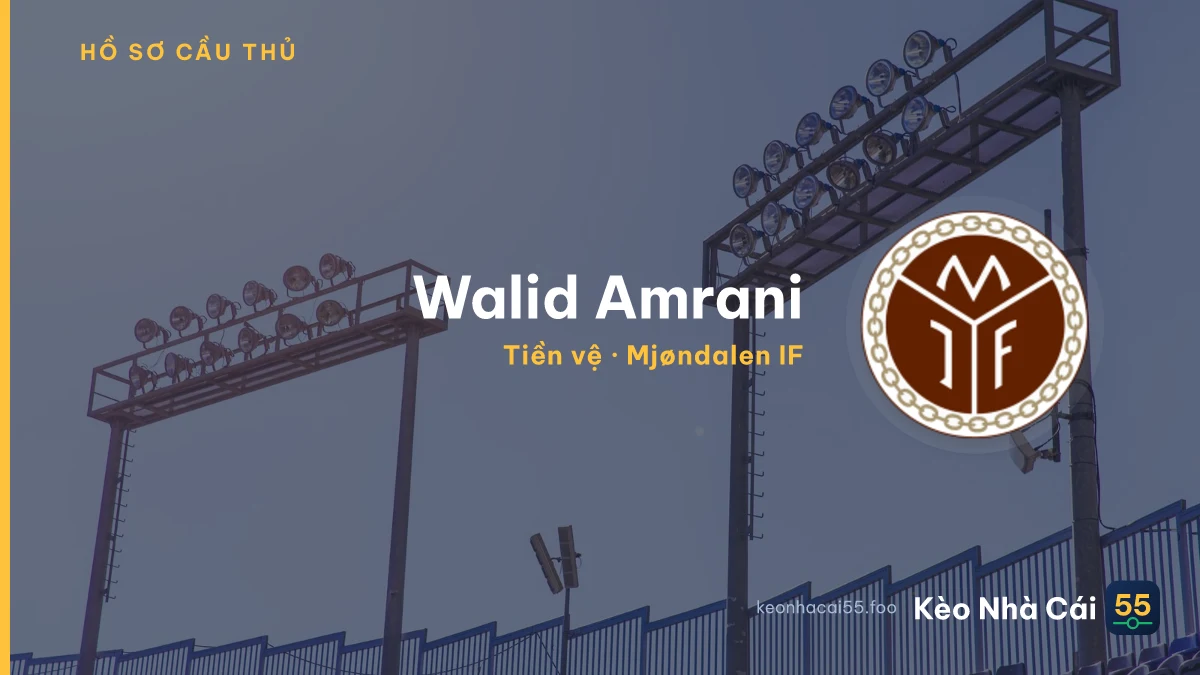 Walid Amrani — Mjøndalen IF