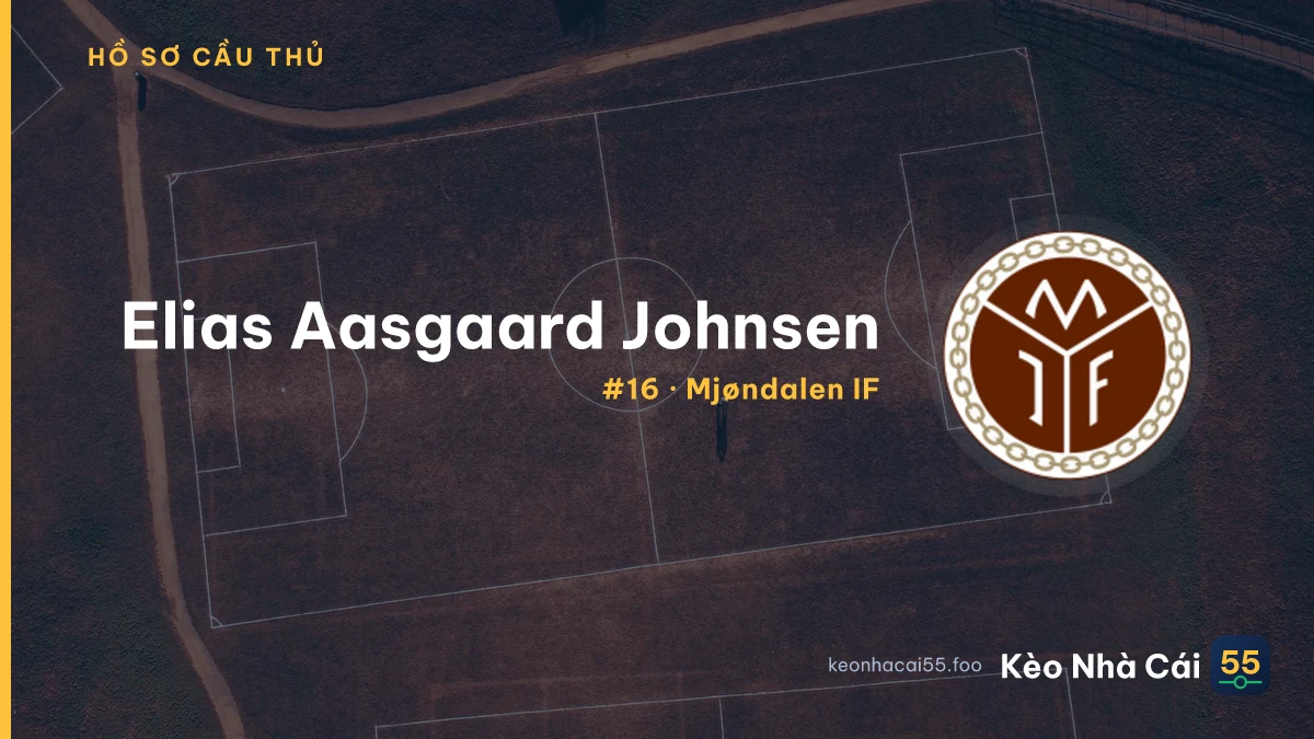 Elias Aasgaard Johnsen — Mjøndalen IF