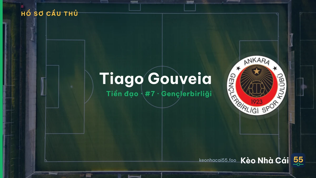 Tiago Gouveia — Gençlerbirliği