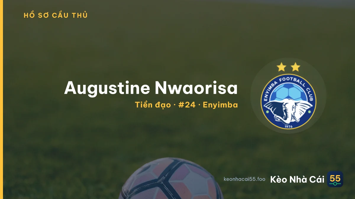 Augustine Nwaorisa — Enyimba