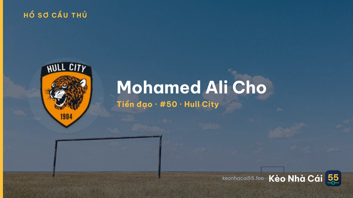 Mohamed Ali Cho — Hull City