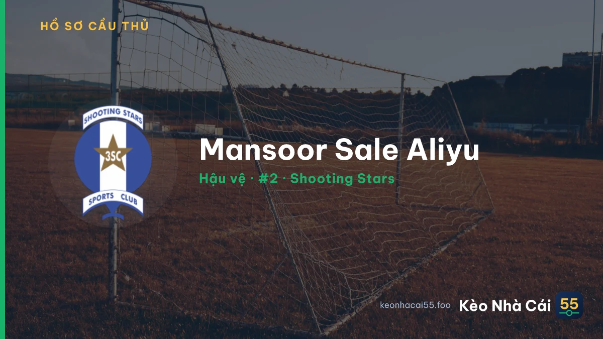 Mansoor Sale Aliyu — Shooting Stars