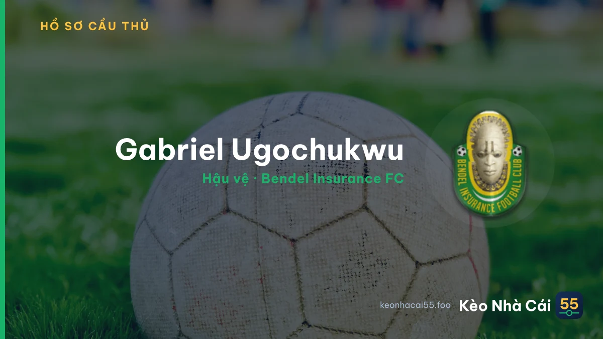 Gabriel Ugochukwu — Bendel Insurance FC