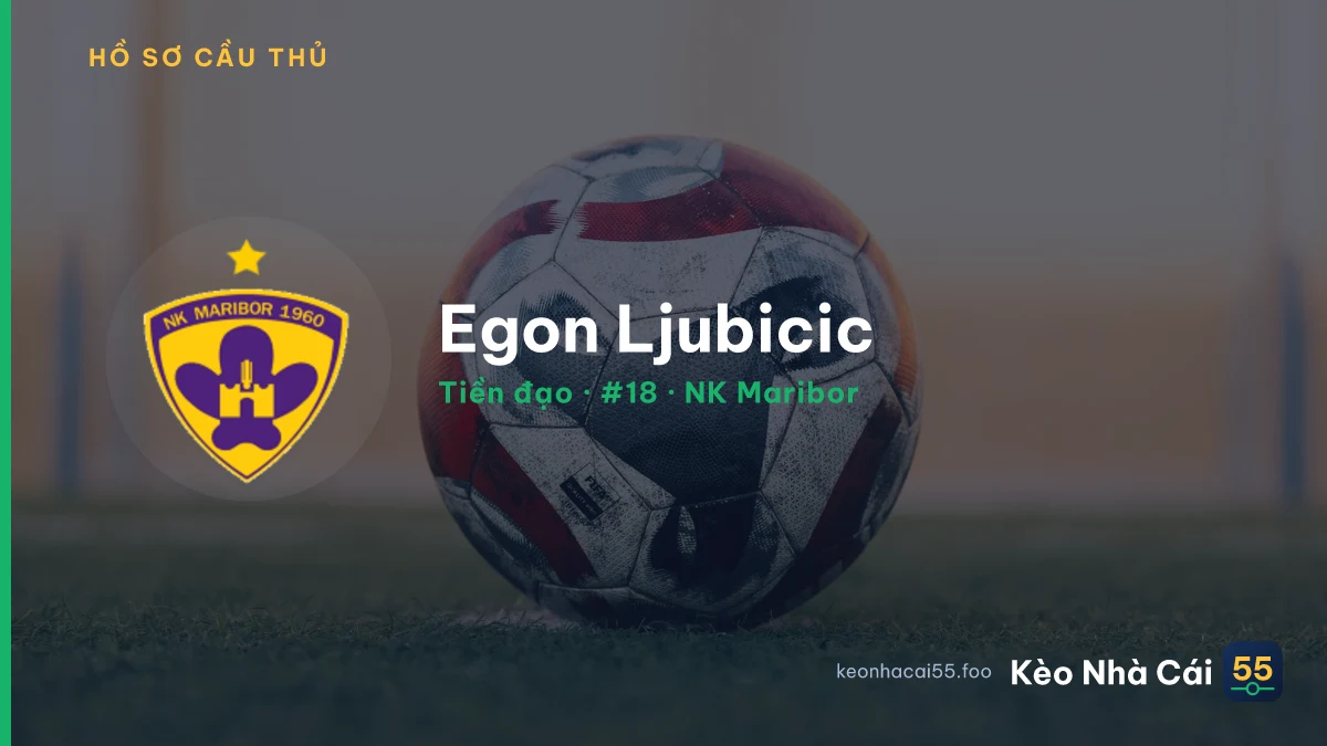 Egon Ljubicic — NK Maribor