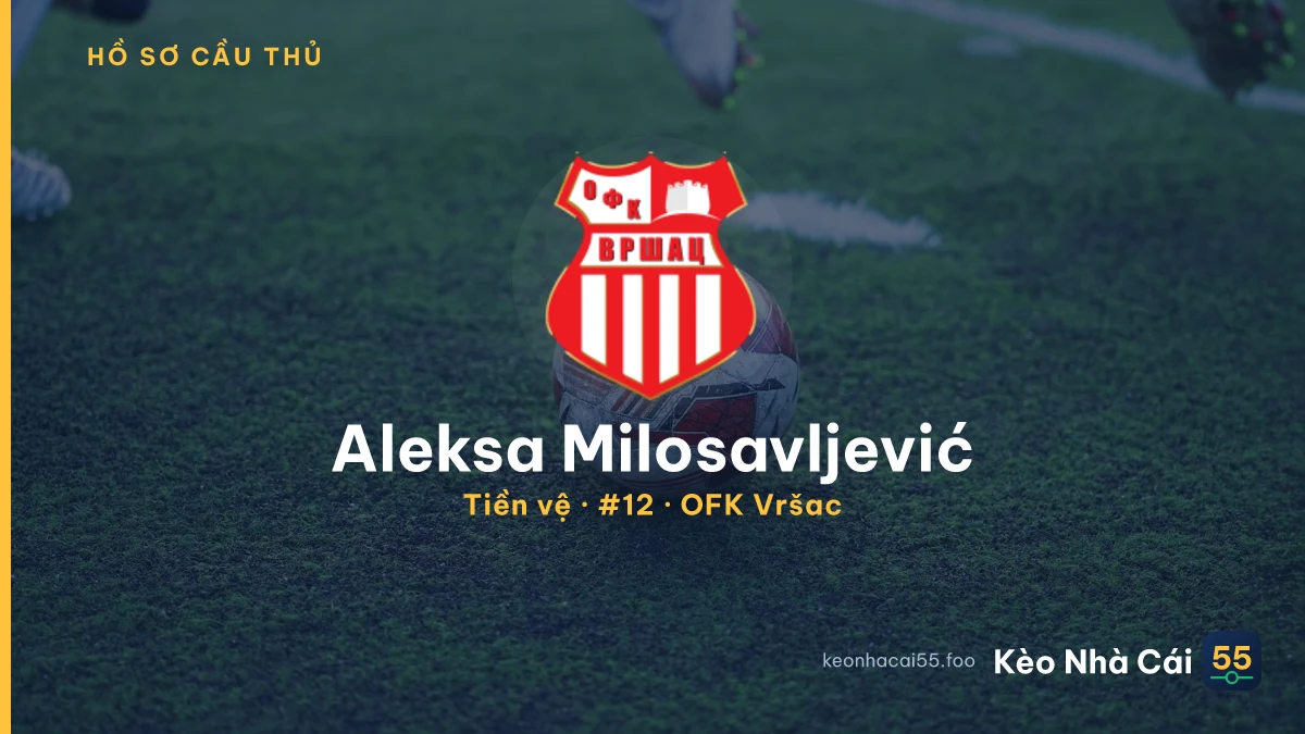 Aleksa Milosavljević — OFK Vršac