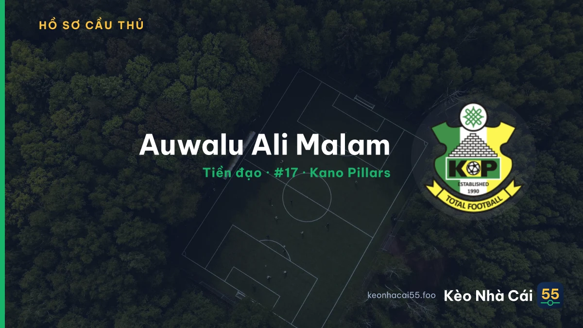 Auwalu Ali Malam — Kano Pillars