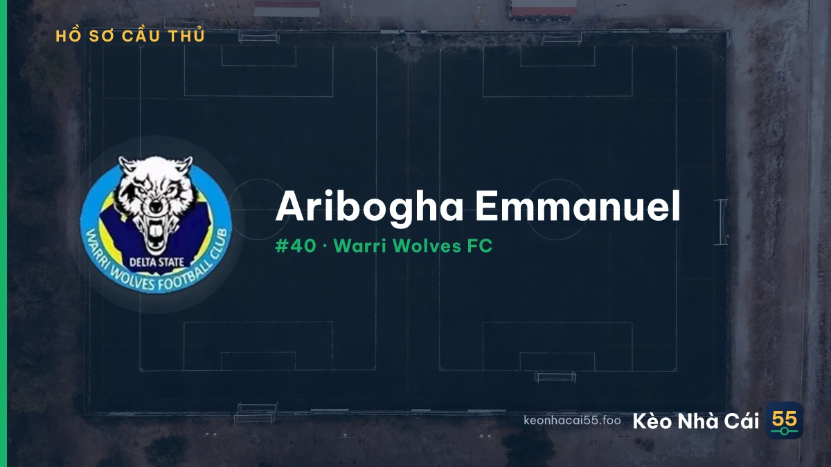 Aribogha Emmanuel — Warri Wolves FC