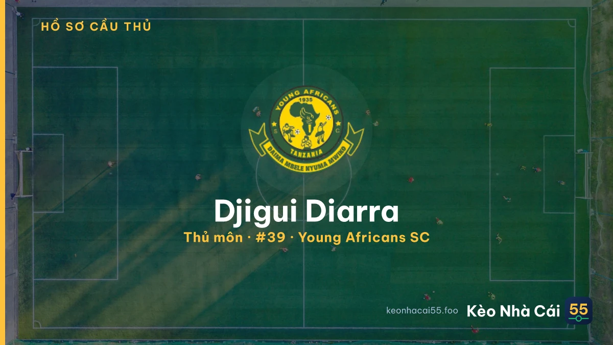 Djigui Diarra — Young Africans SC
