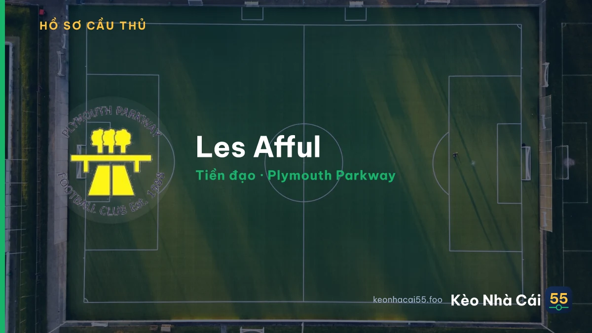 Les Afful — Plymouth Parkway