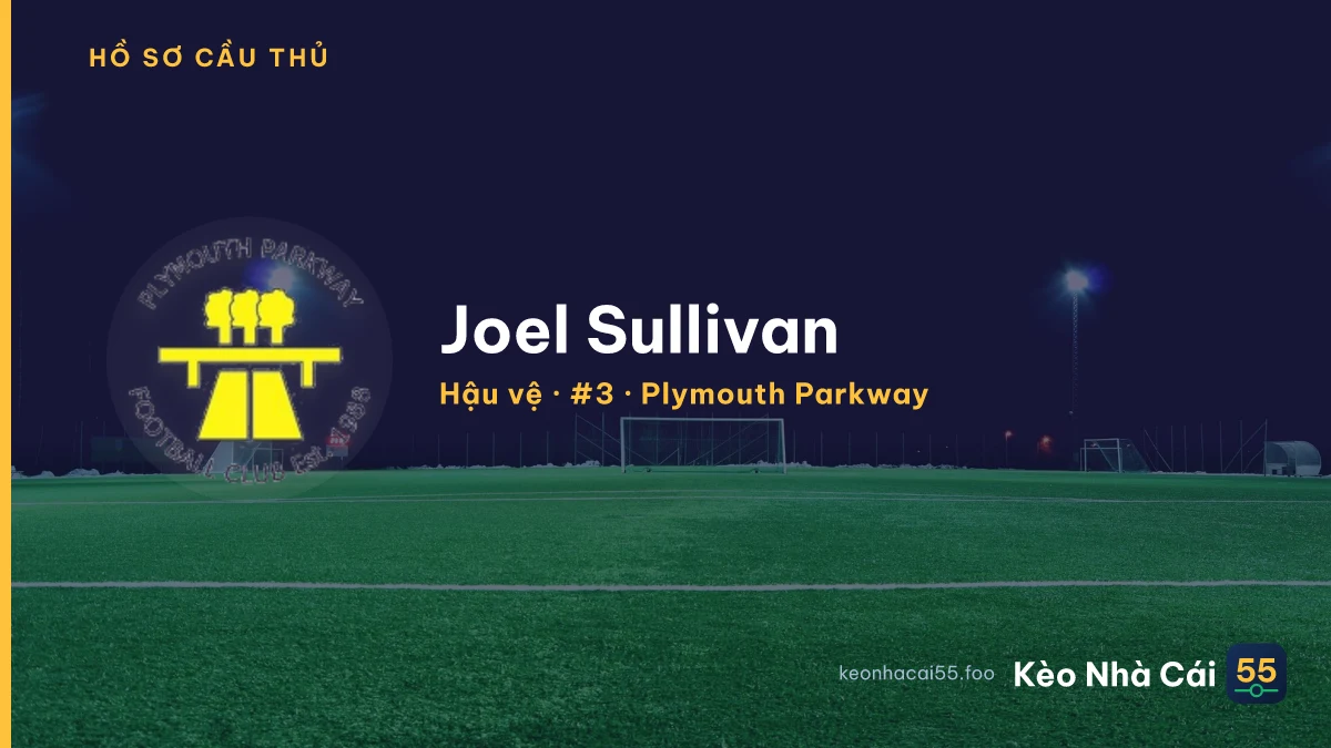 Joel Sullivan — Plymouth Parkway