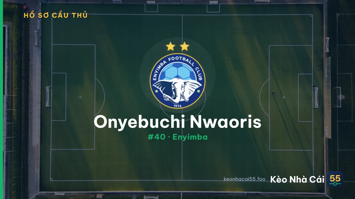 Onyebuchi Nwaoris — Enyimba