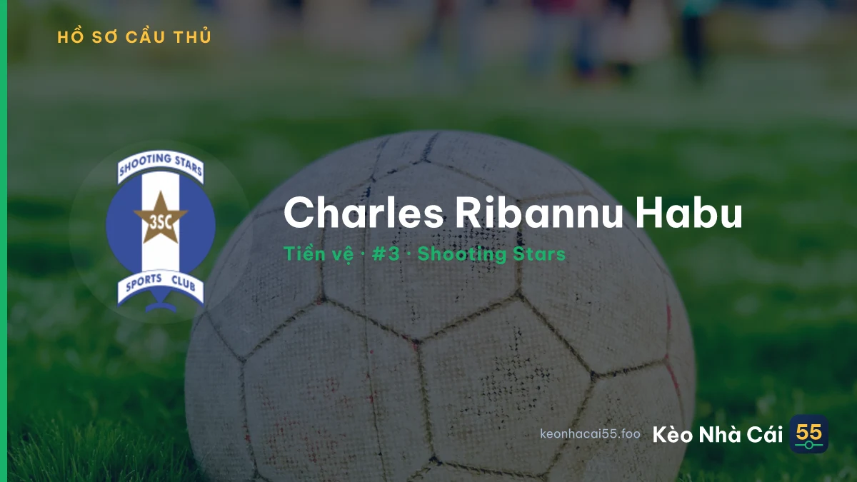 Charles Ribannu Habu — Shooting Stars