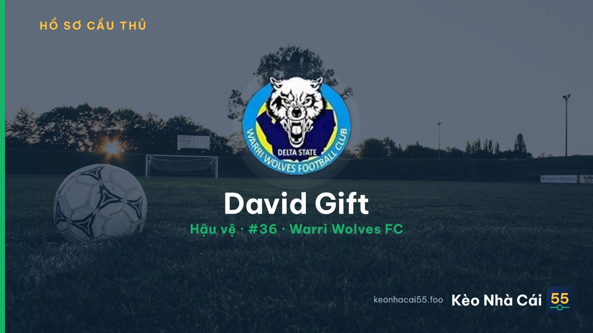 David Gift — Warri Wolves FC