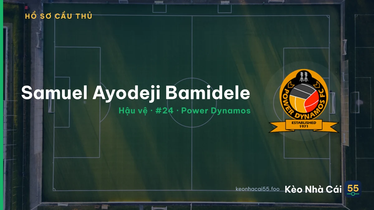 Samuel Ayodeji Bamidele — Power Dynamos