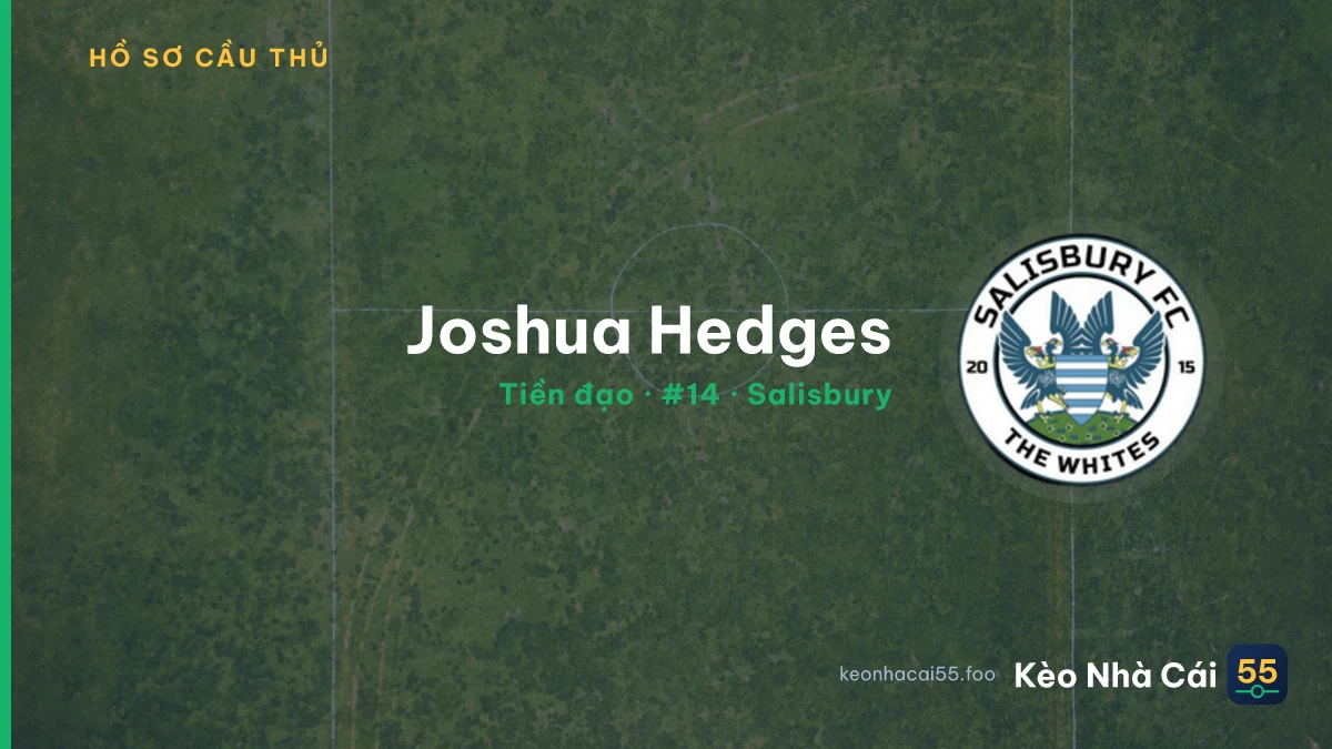 Joshua Hedges — Salisbury