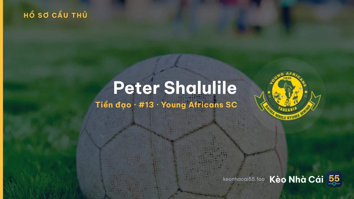 Peter Shalulile — Young Africans SC