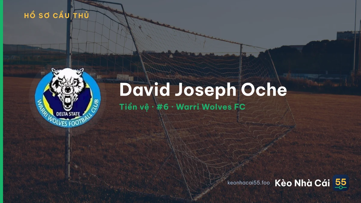 David Joseph Oche — Warri Wolves FC