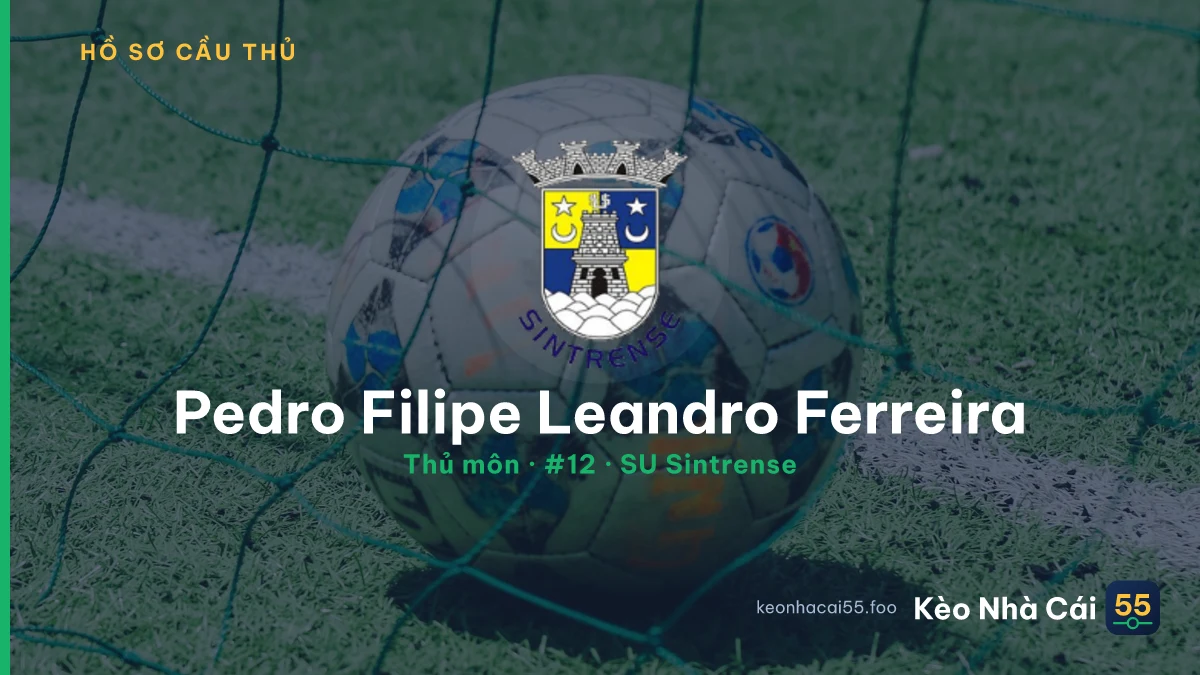 Pedro Filipe Leandro Ferreira — SU Sintrense