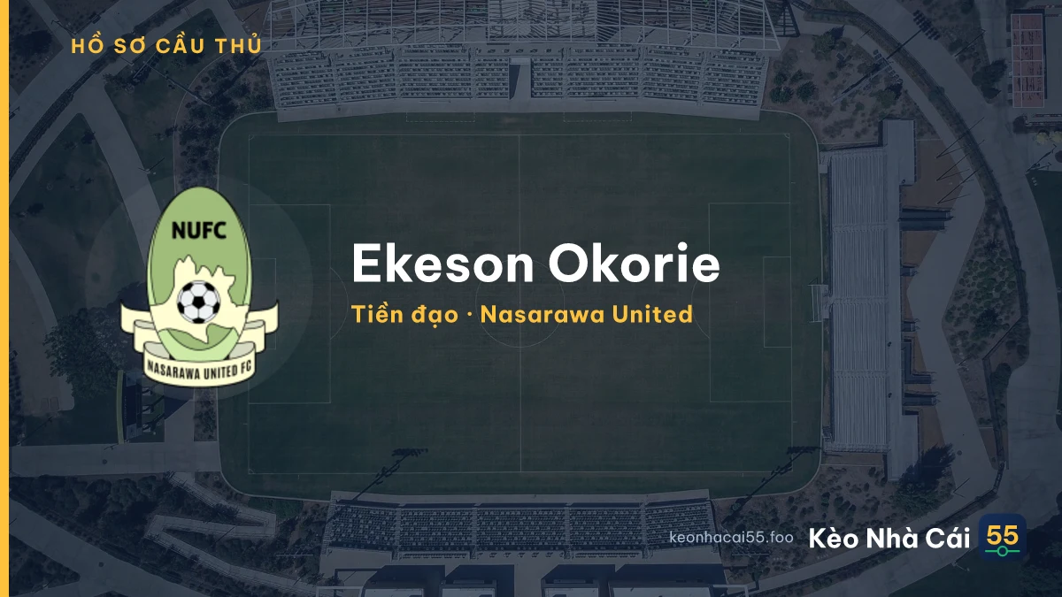 Ekeson Okorie — Nasarawa United