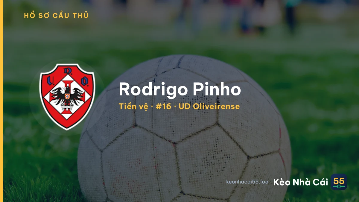 Rodrigo Pinho — UD Oliveirense
