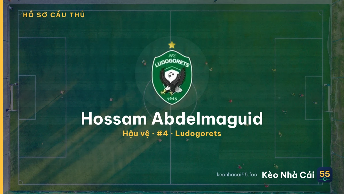 Hossam Abdelmaguid — Ludogorets