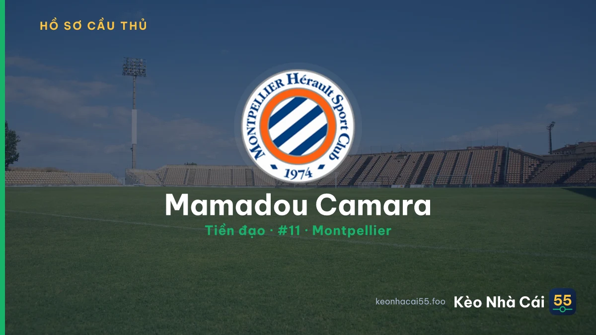 Mamadou Camara — Montpellier
