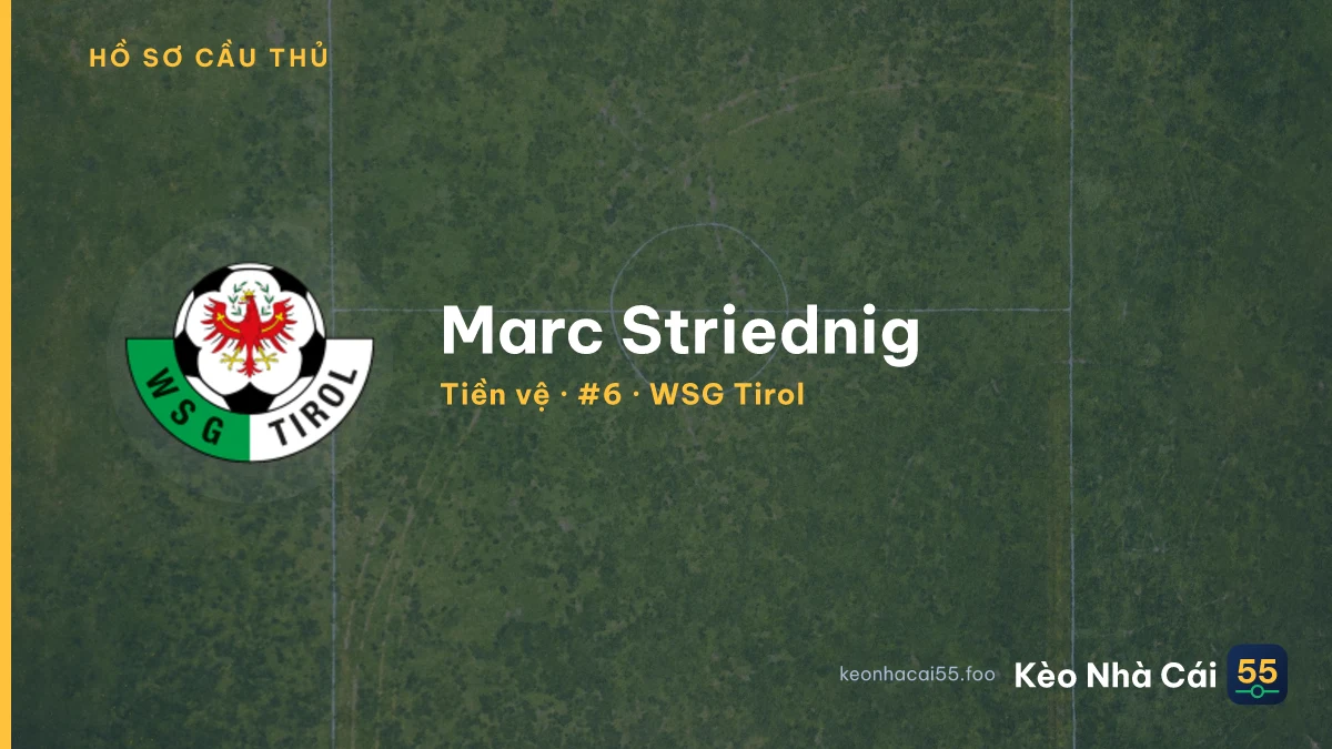 Marc Striednig — WSG Tirol