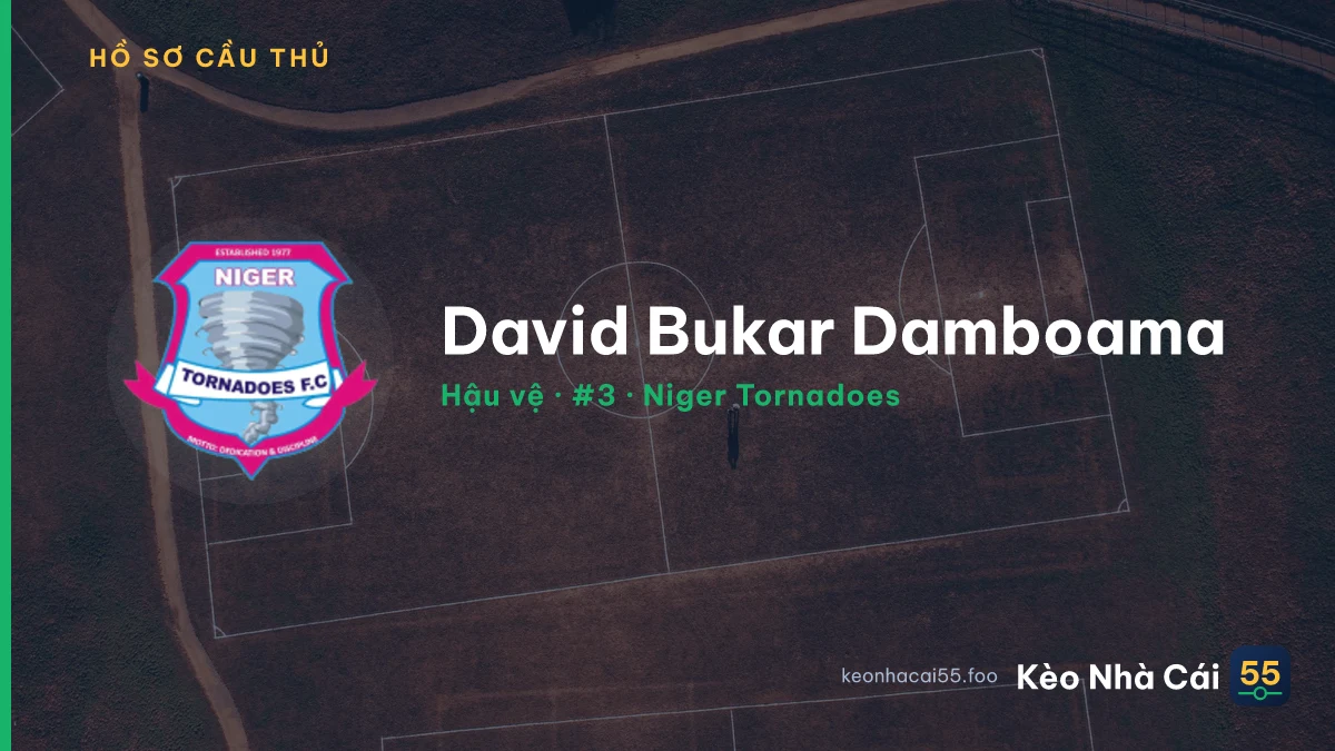 David Bukar Damboama — Niger Tornadoes