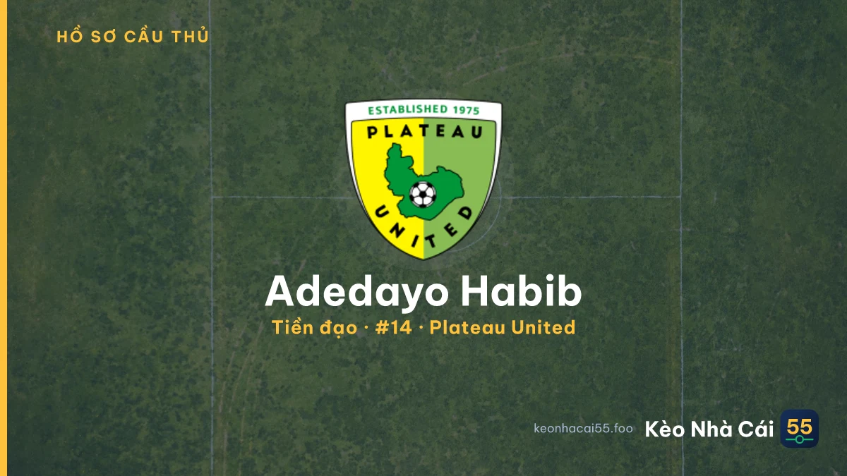 Adedayo Habib — Plateau United