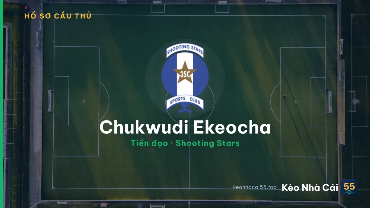 Chukwudi Ekeocha — Shooting Stars