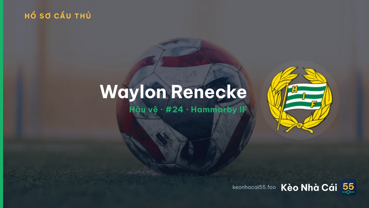 Waylon Renecke — Hammarby IF