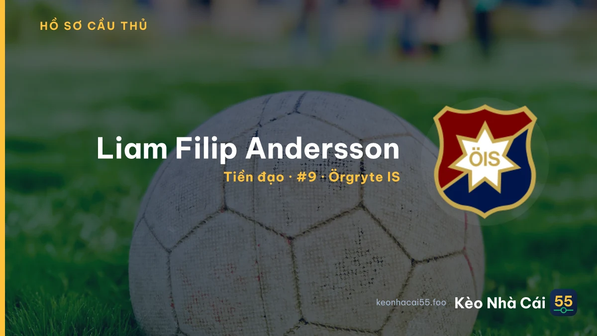 Liam Filip Andersson — Örgryte IS